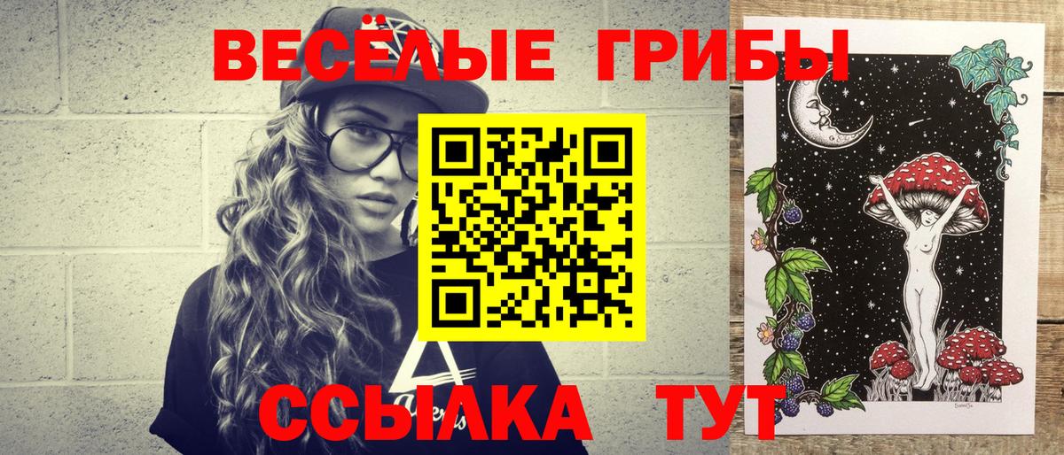 Аша  Галлюциногенные грибы мухоморы  Вход с VPN 