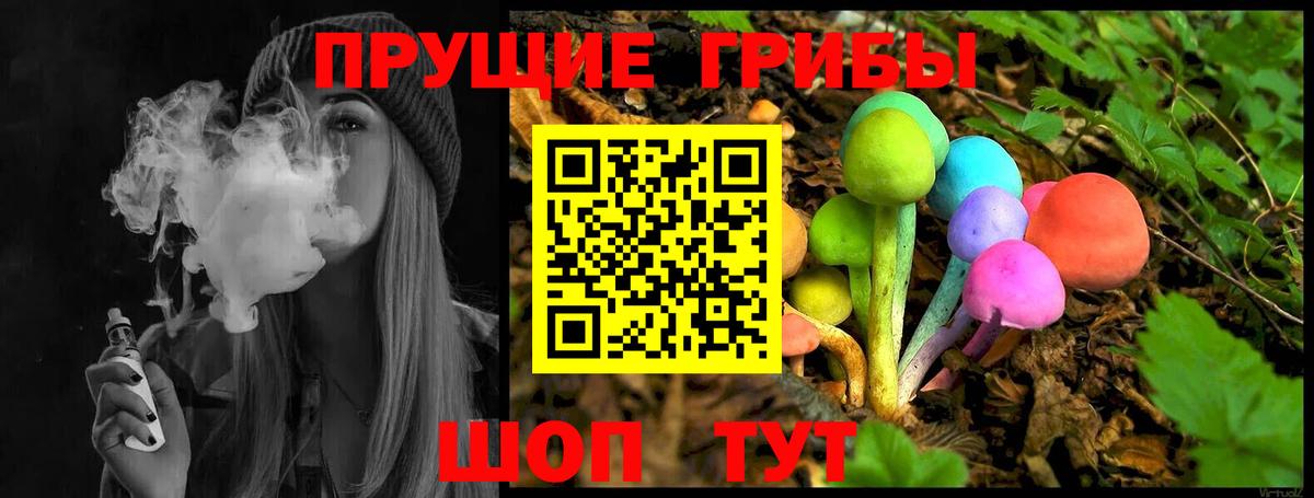 Псилоцибиновые грибы Psilocybe Аша